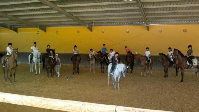 curso para aprender a montar